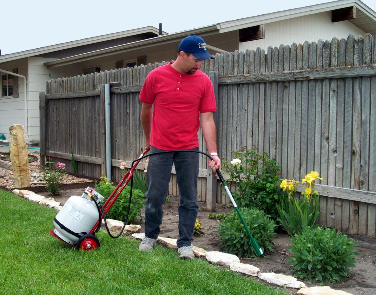 A man in a red shirt stands in a garden using a Weed Dragon: a propane tank with a hose attached to burn weeds. Climate Victory Gardens.